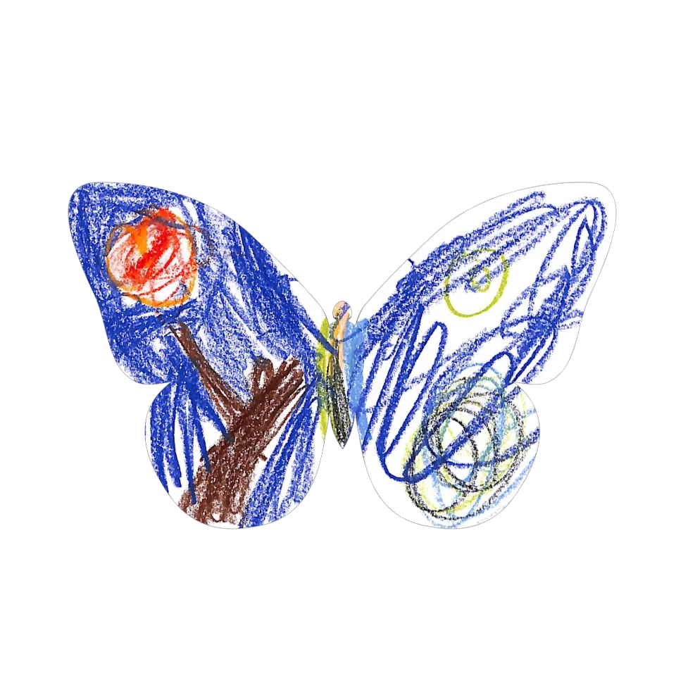 Original Butterfly Image