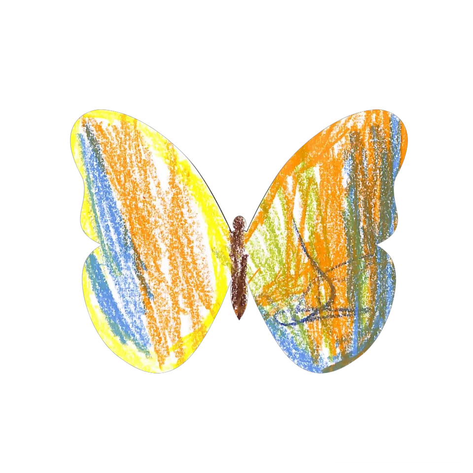 Original Butterfly Image