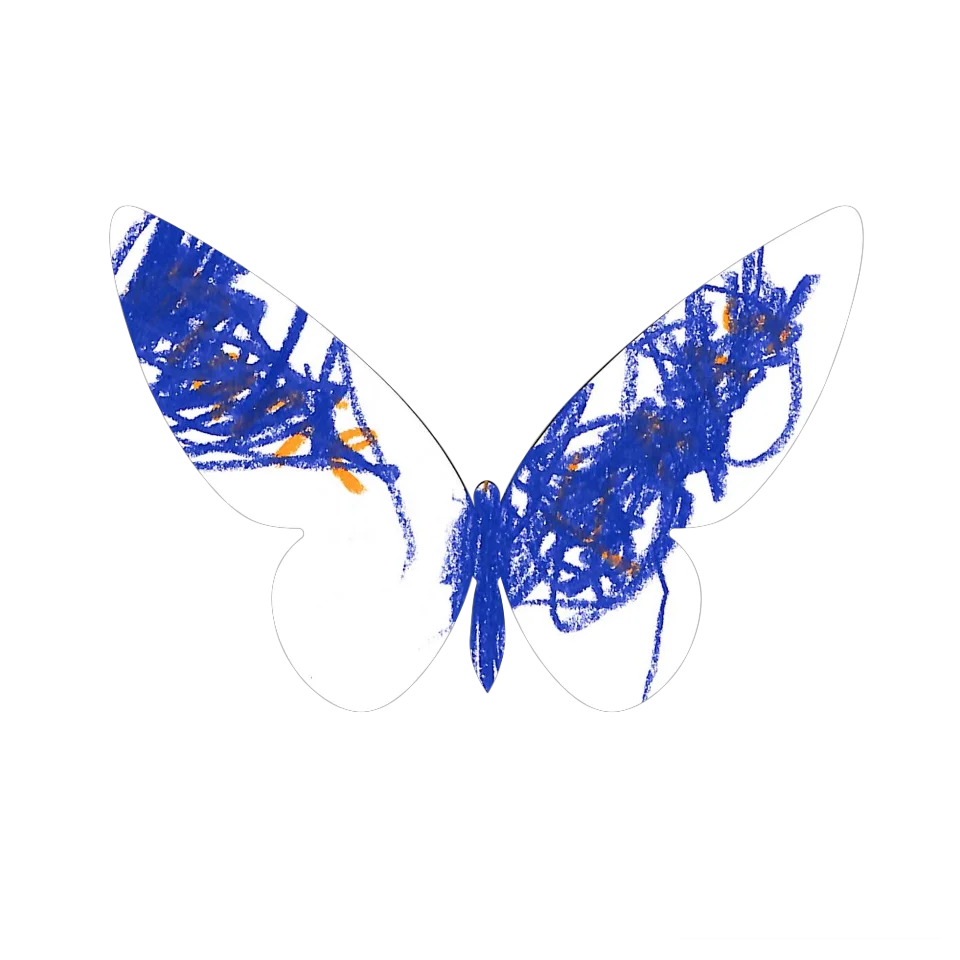 Original Butterfly Image