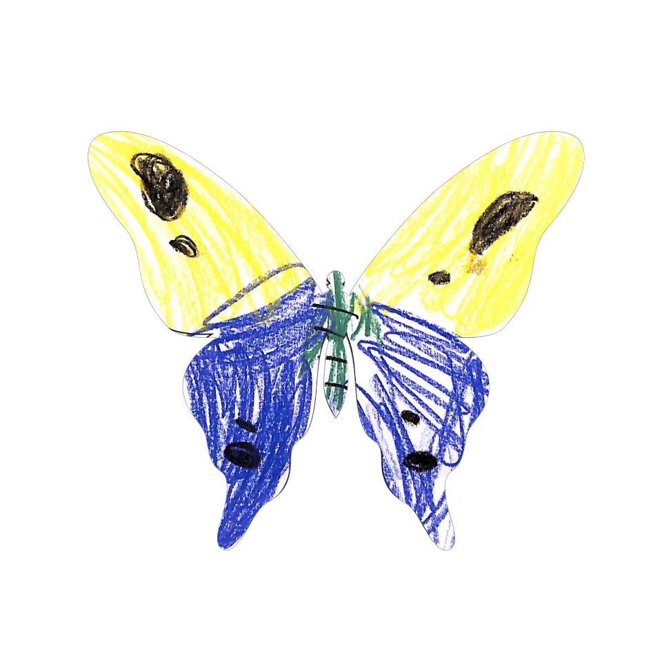 Original Butterfly Image
