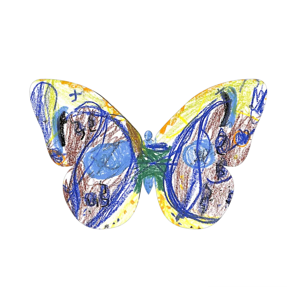 Original Butterfly Image