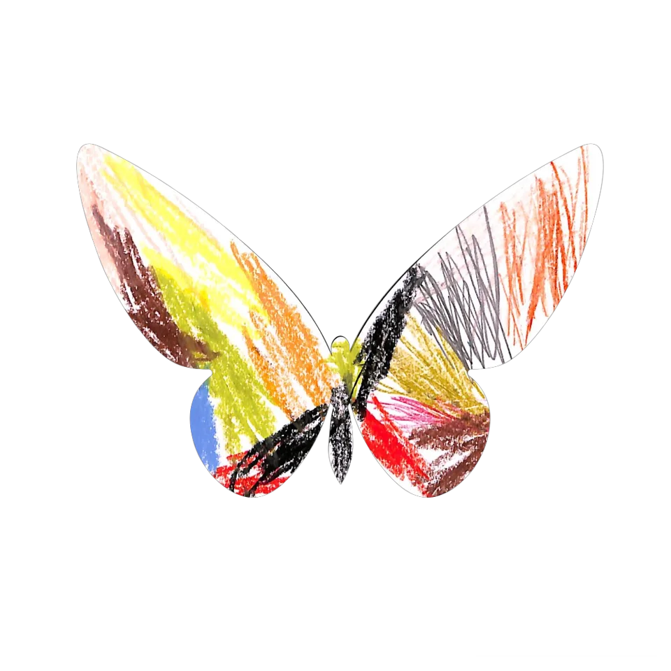 Original Butterfly Image