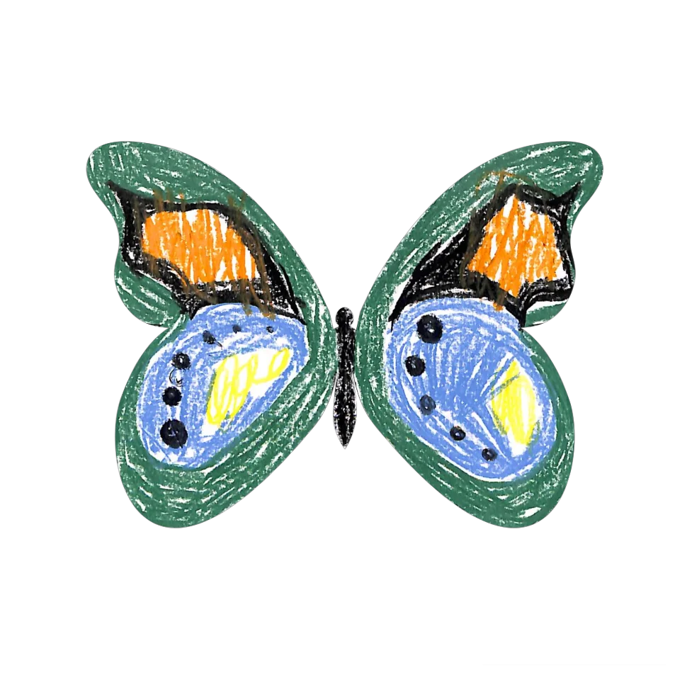 Original Butterfly Image