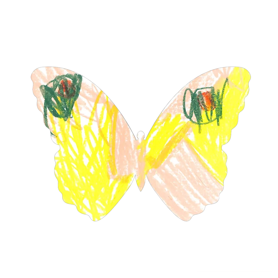 Original Butterfly Image