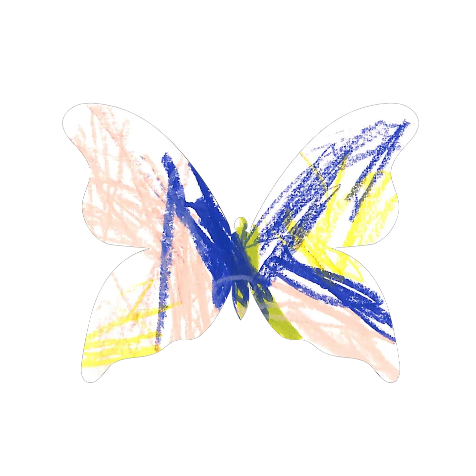 Original Butterfly Image