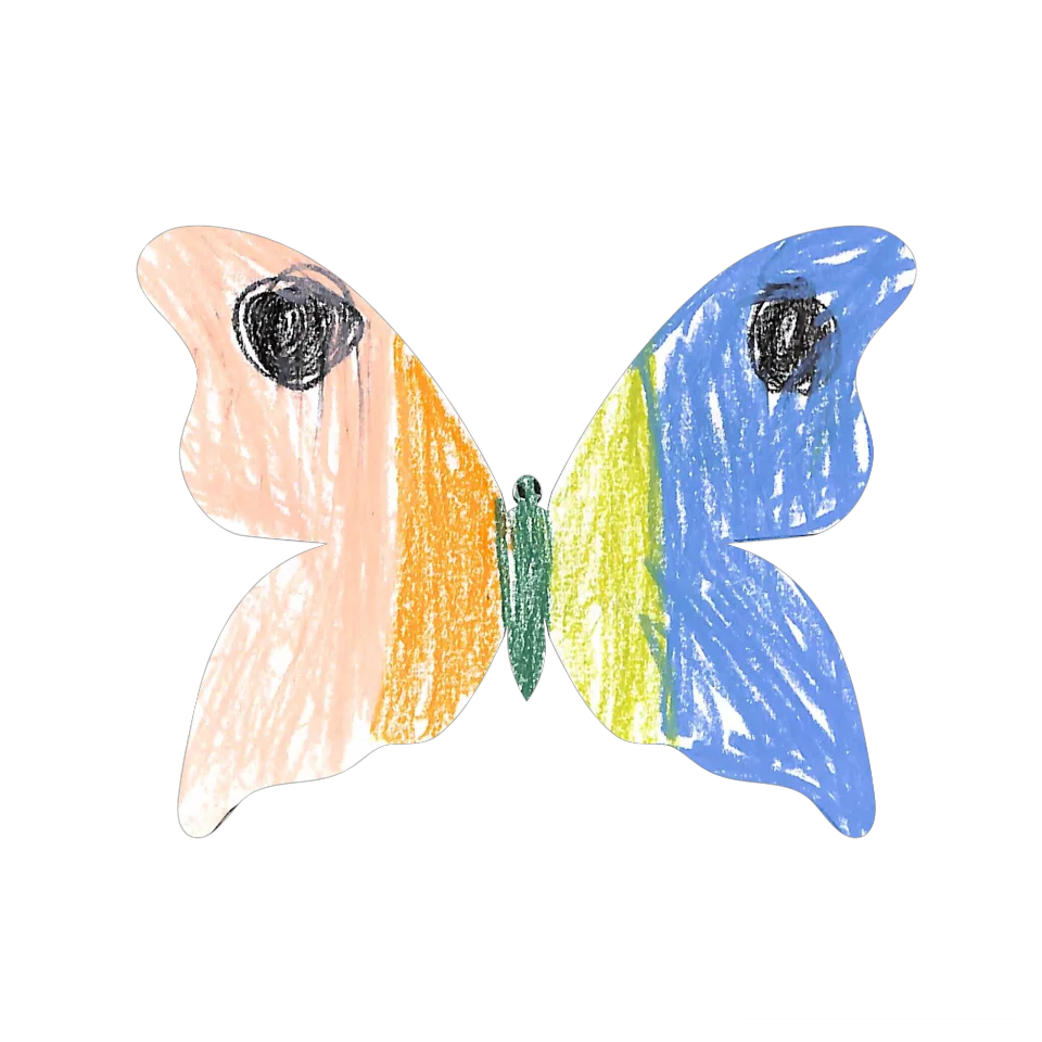 Original Butterfly Image
