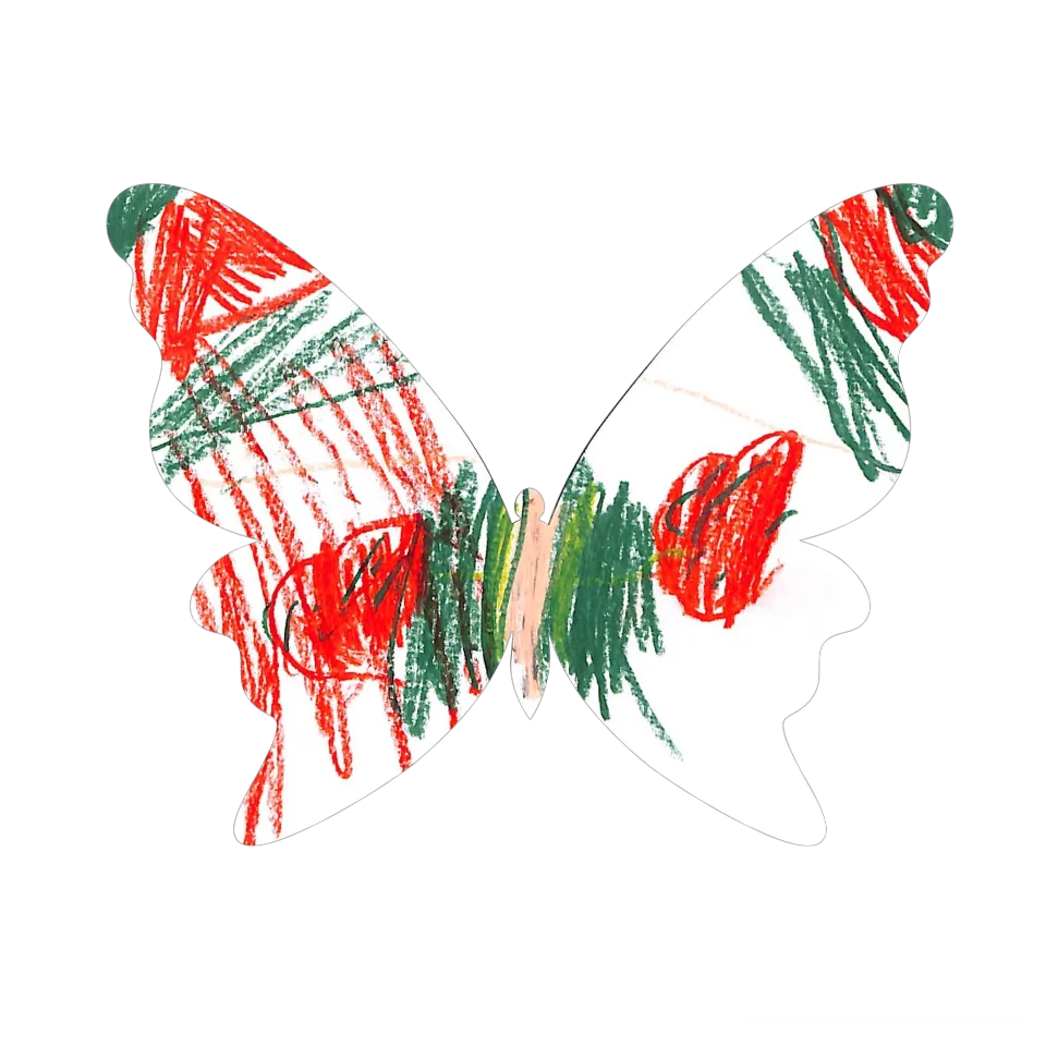 Original Butterfly Image