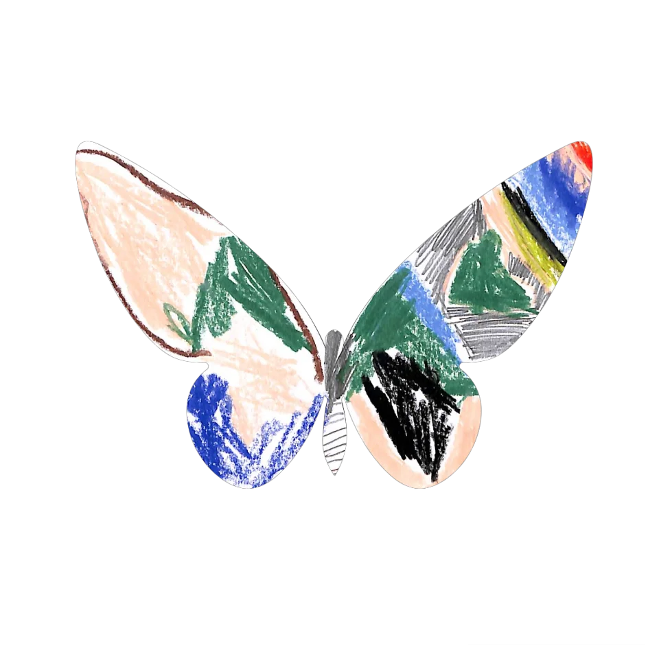 Original Butterfly Image