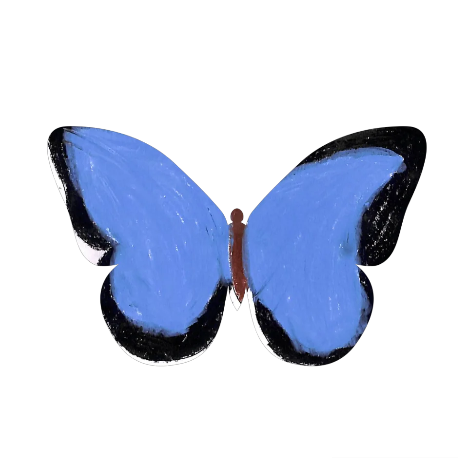 Original Butterfly Image