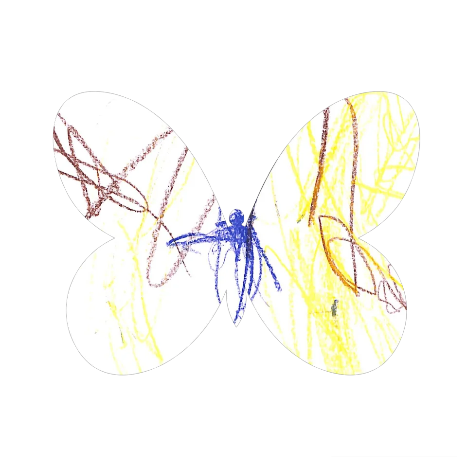 Original Butterfly Image