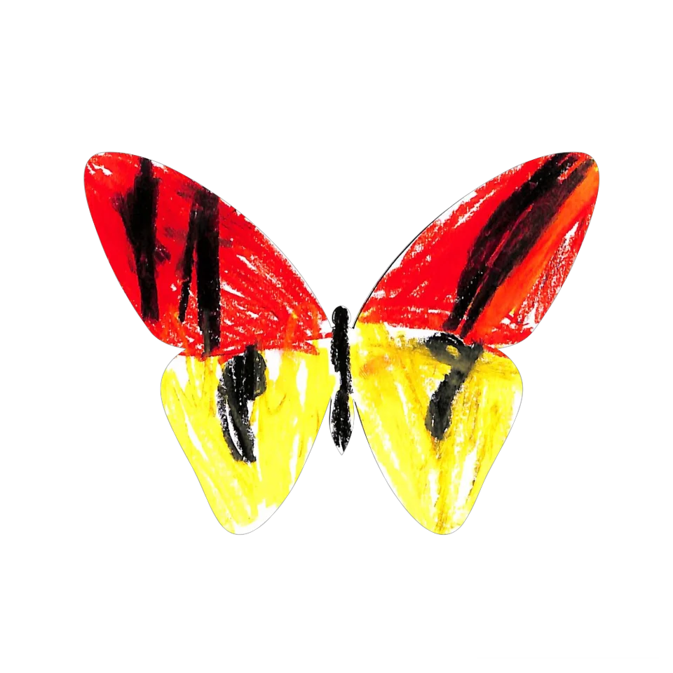 Original Butterfly Image