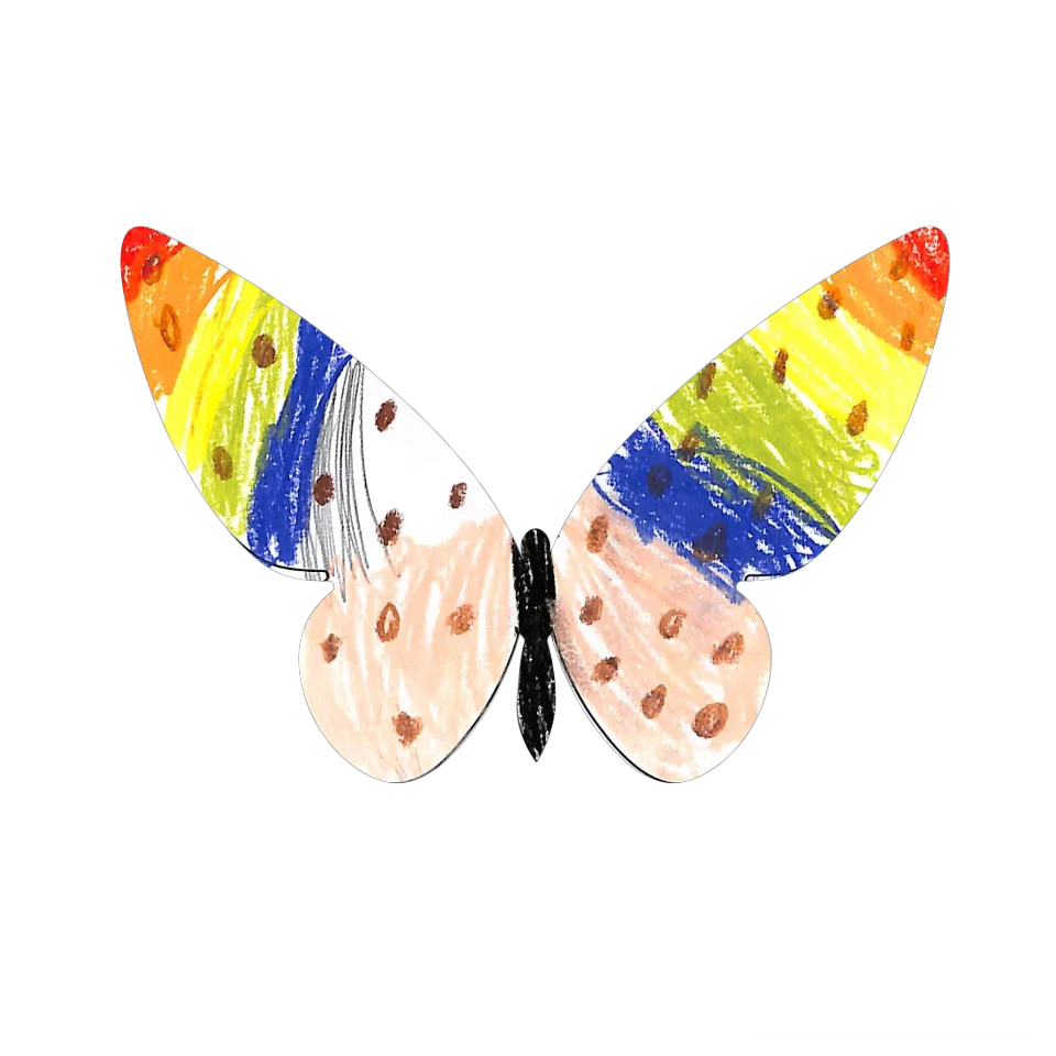 Original Butterfly Image