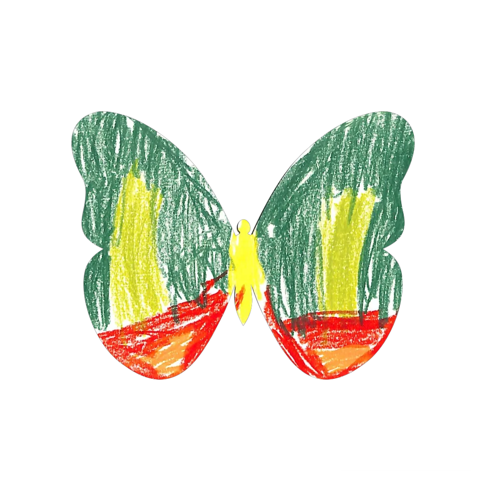 Original Butterfly Image