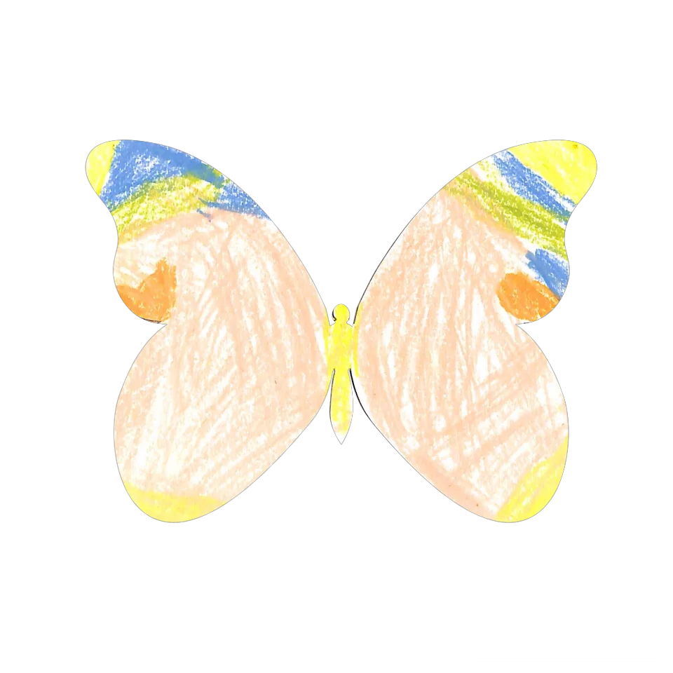 Original Butterfly Image