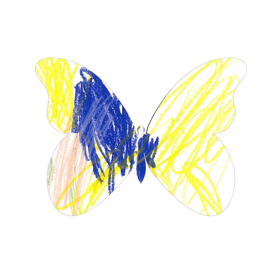 Original Butterfly Image