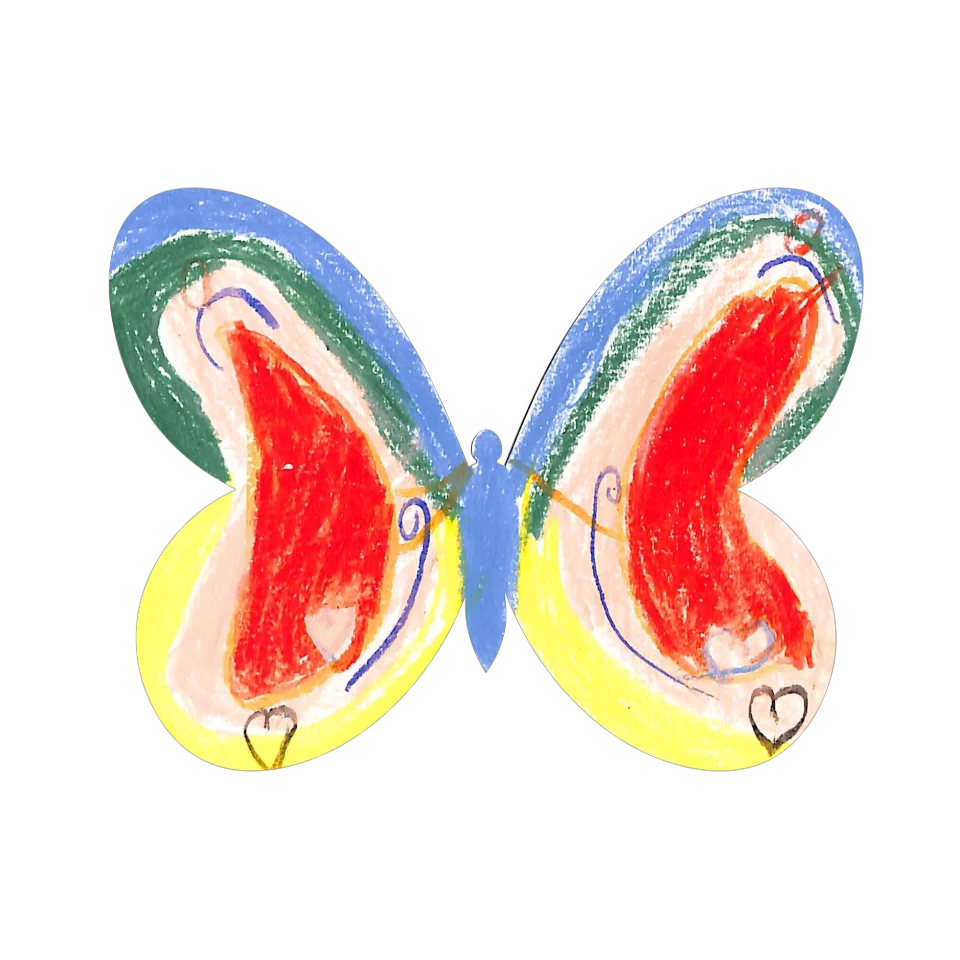 Original Butterfly Image