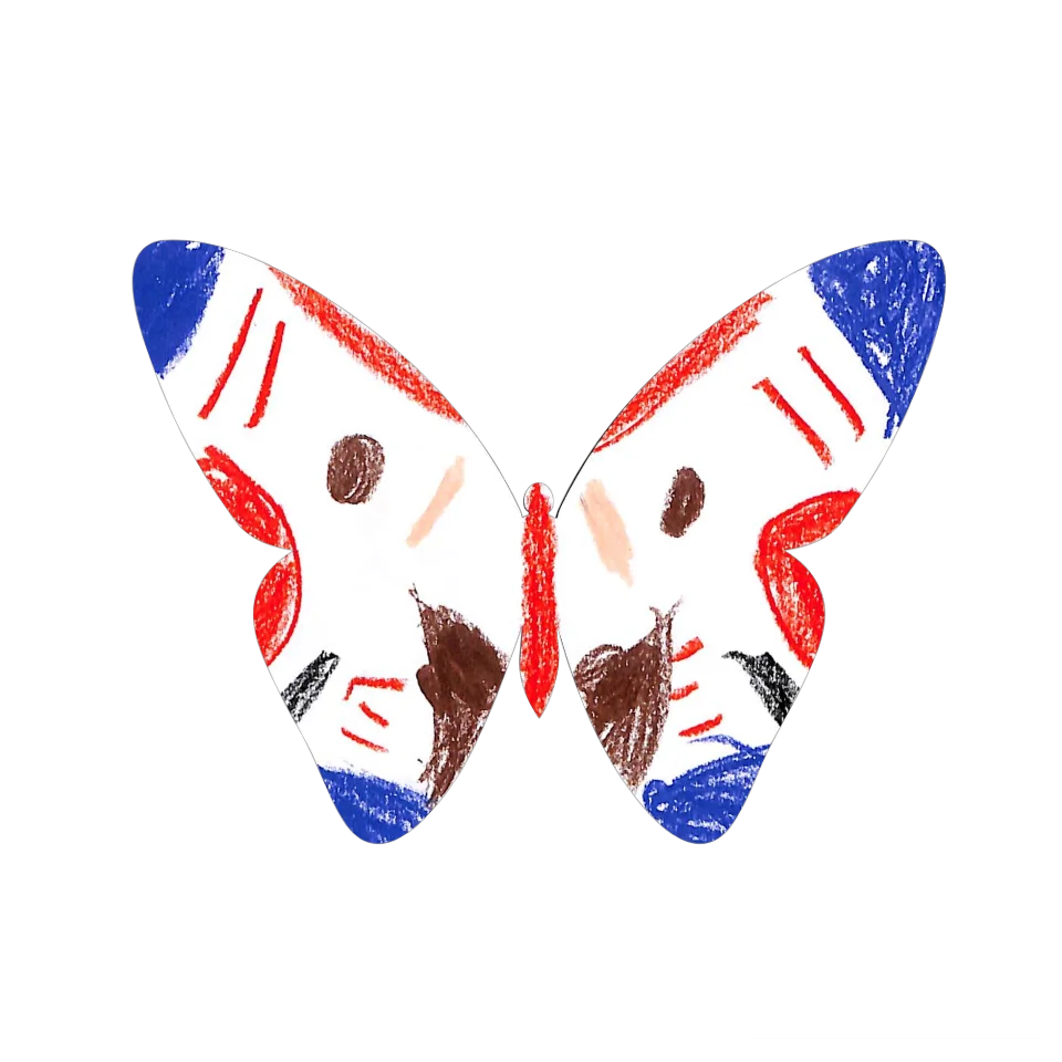 Original Butterfly Image