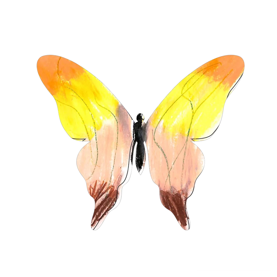 Original Butterfly Image