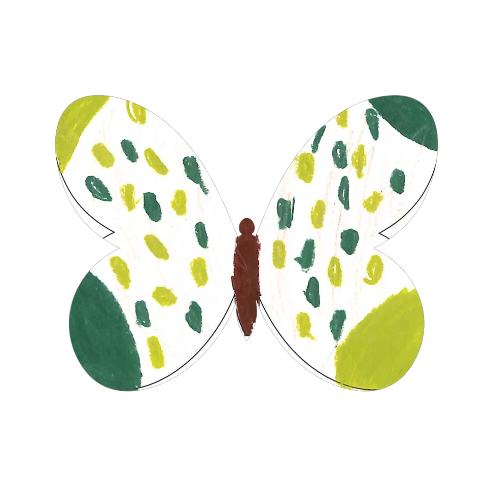 Original Butterfly Image