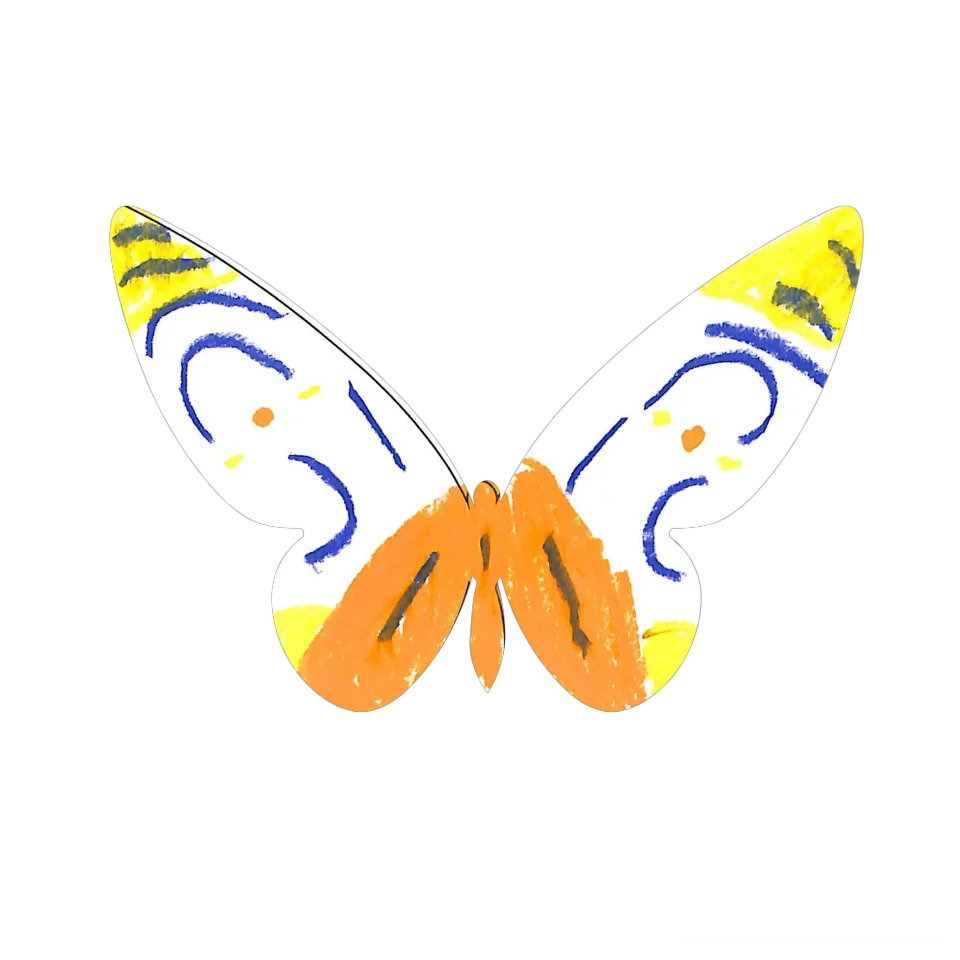 Original Butterfly Image