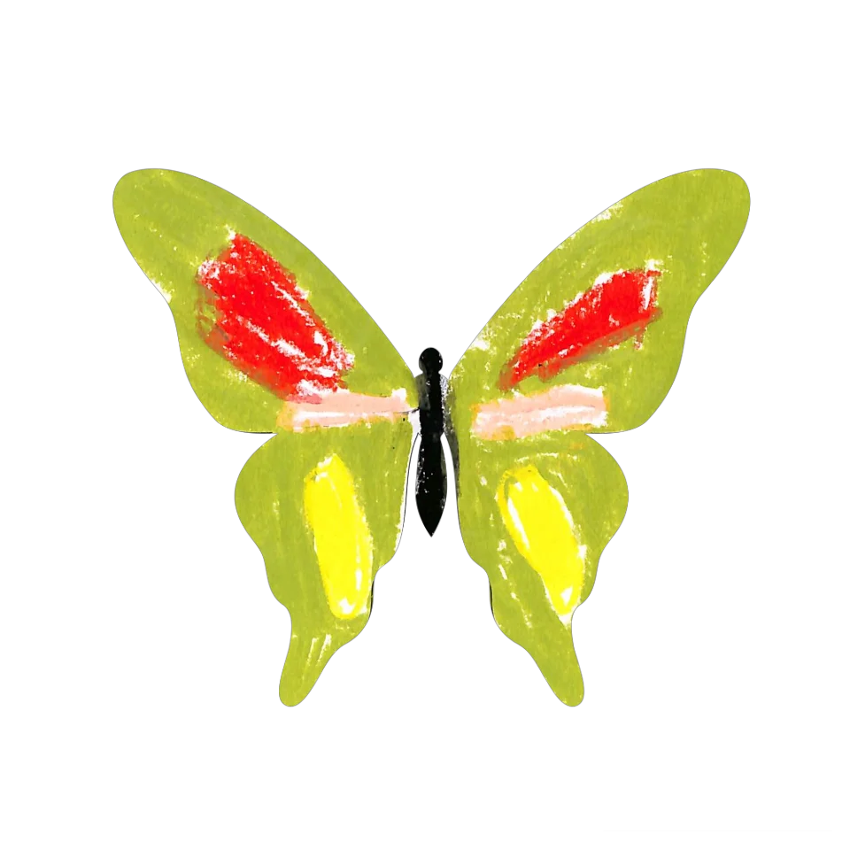 Original Butterfly Image