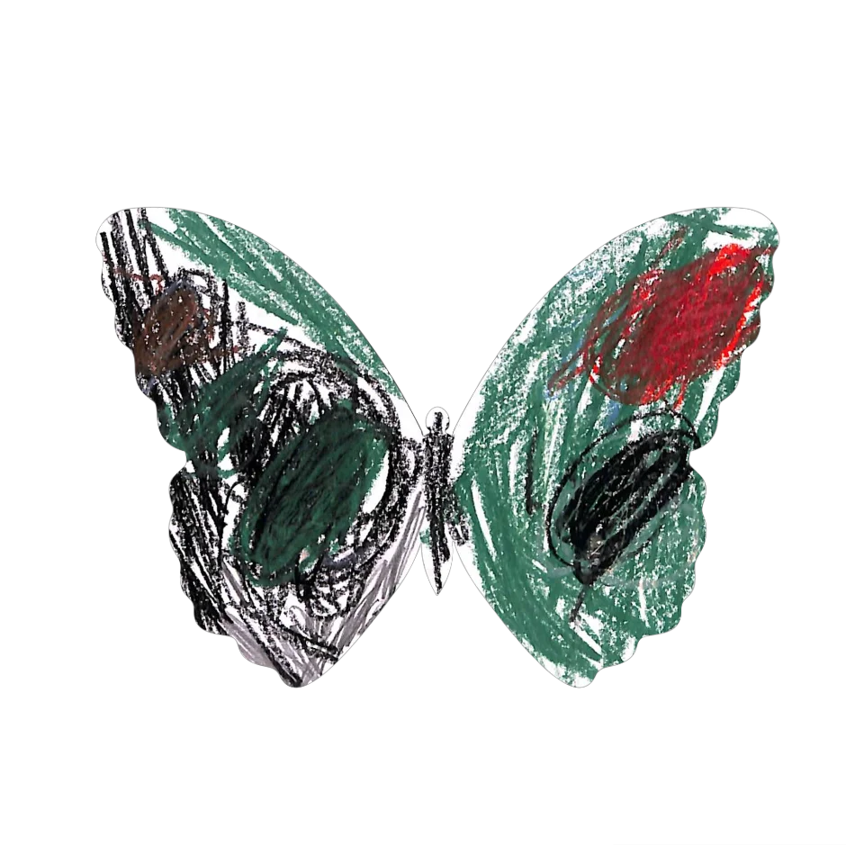Original Butterfly Image