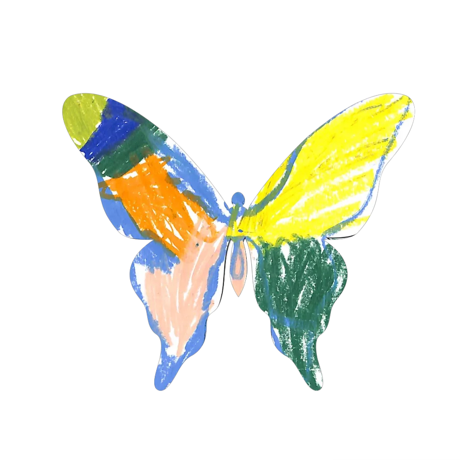 Original Butterfly Image