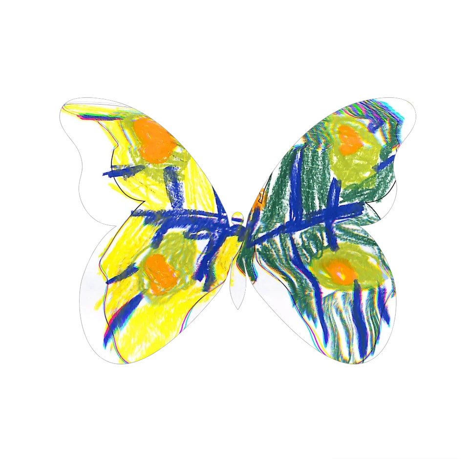 Original Butterfly Image