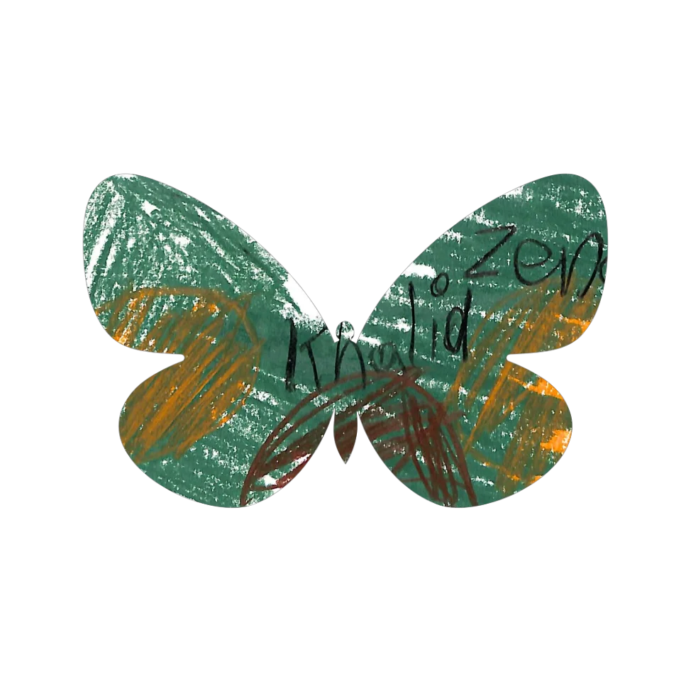 Original Butterfly Image