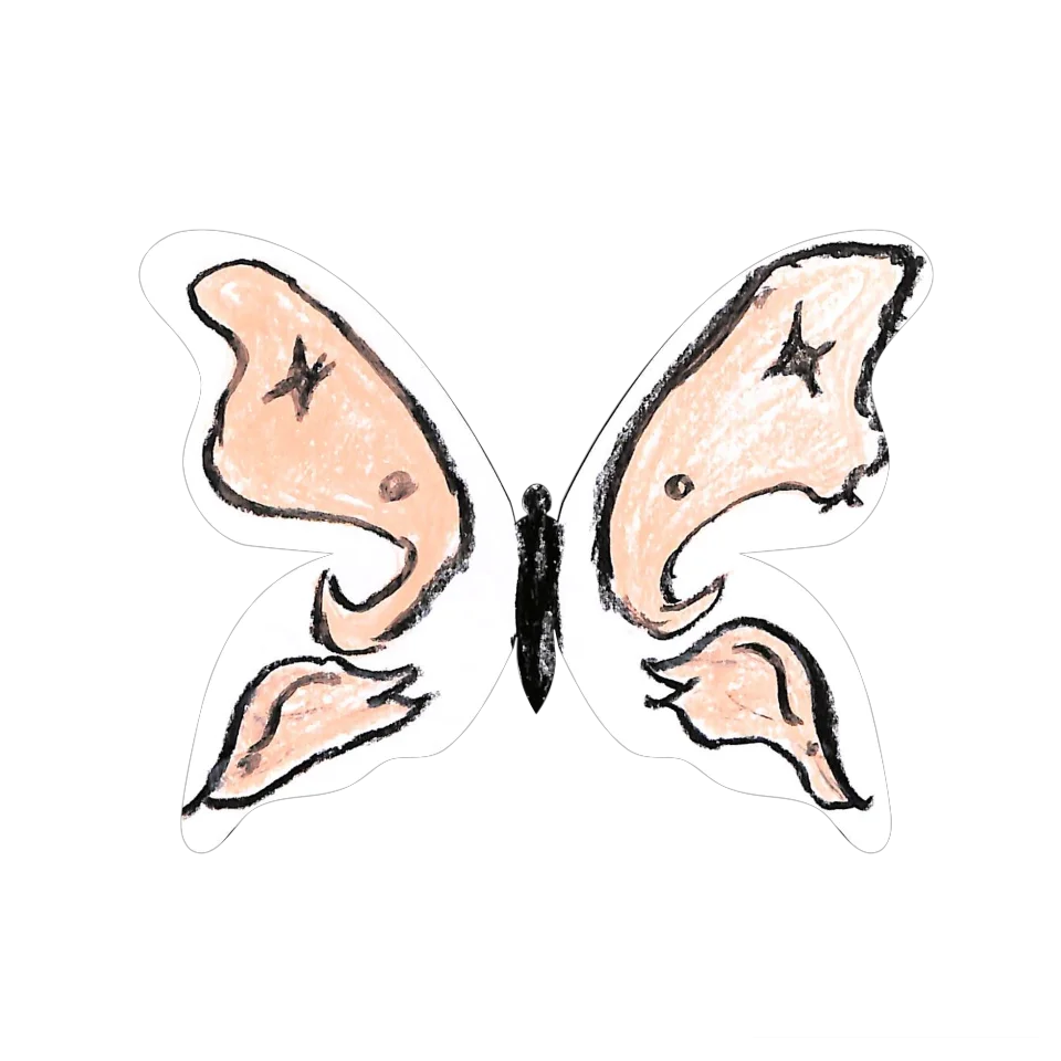 Original Butterfly Image