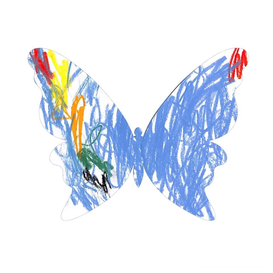 Original Butterfly Image