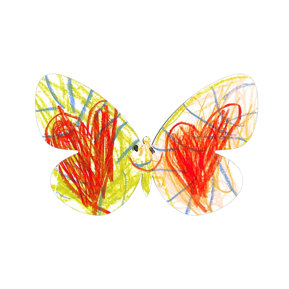 Original Butterfly Image