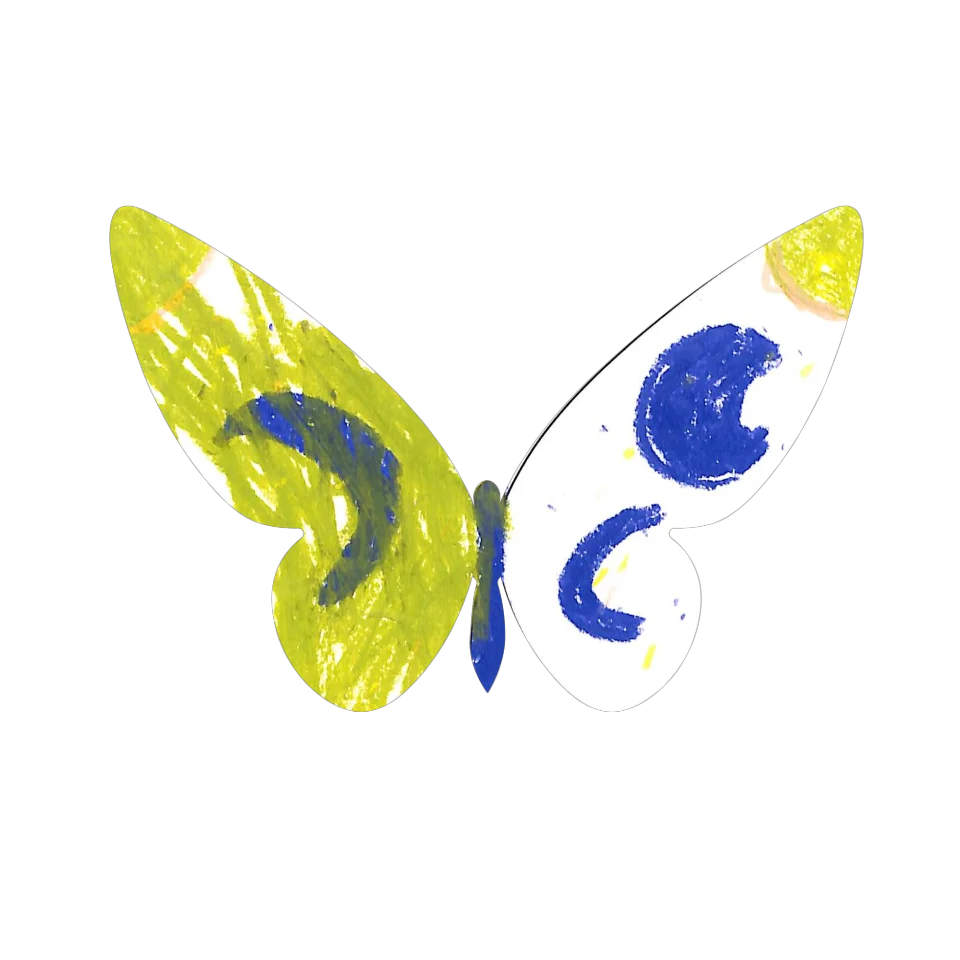 Original Butterfly Image