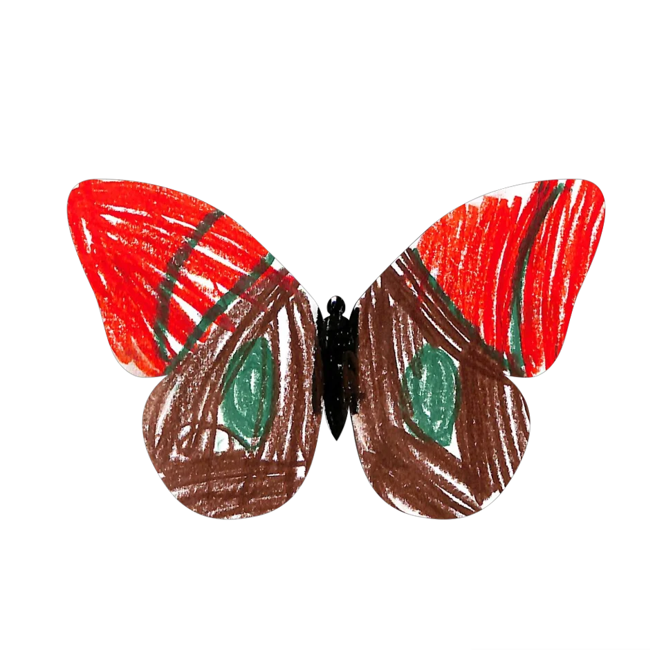 Original Butterfly Image