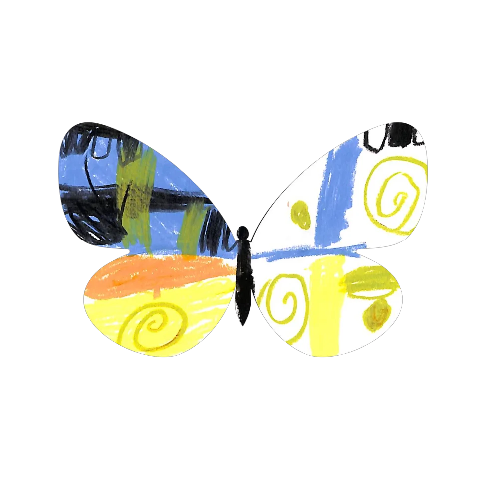 Original Butterfly Image