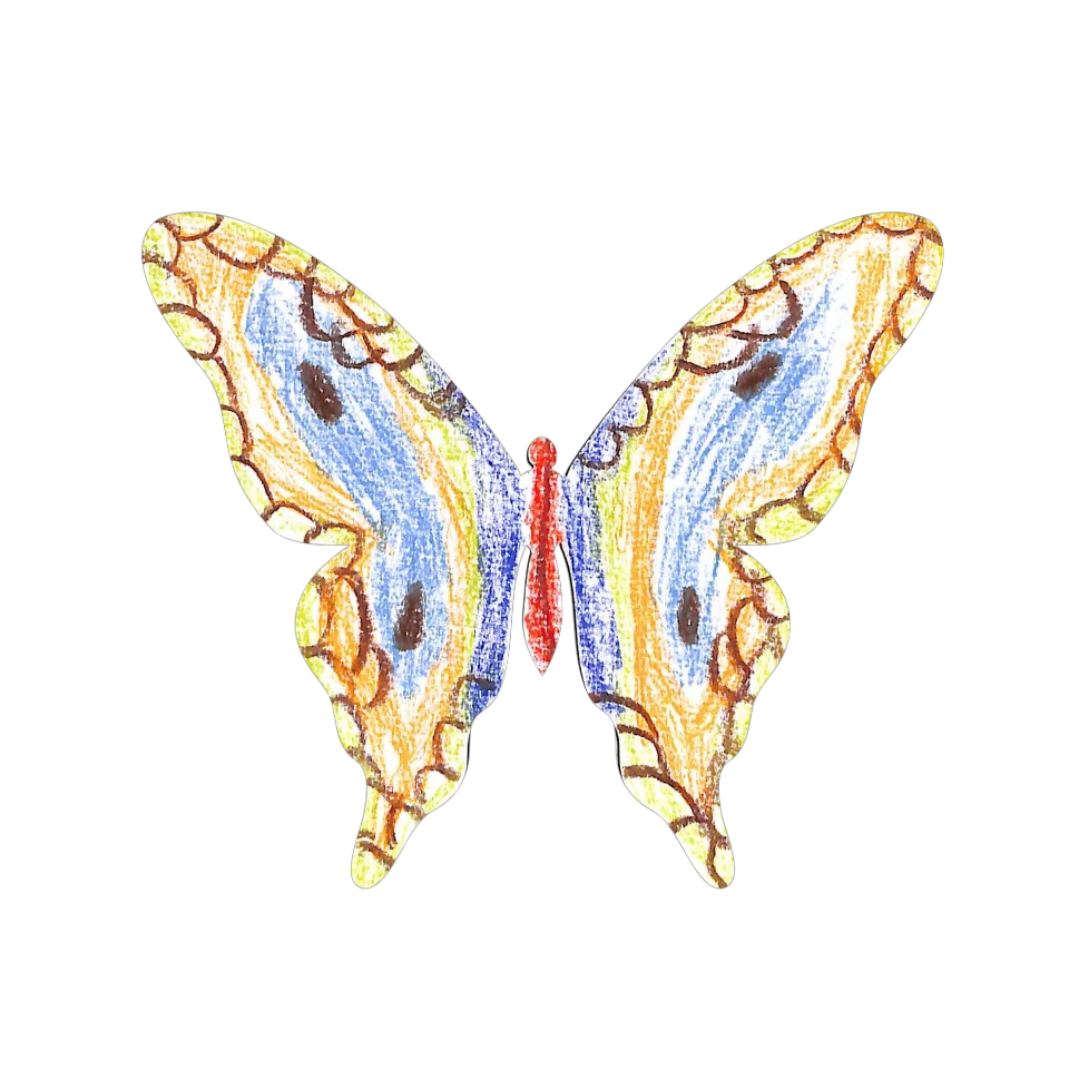 Original Butterfly Image