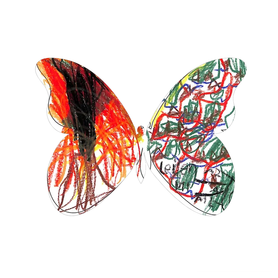 Original Butterfly Image
