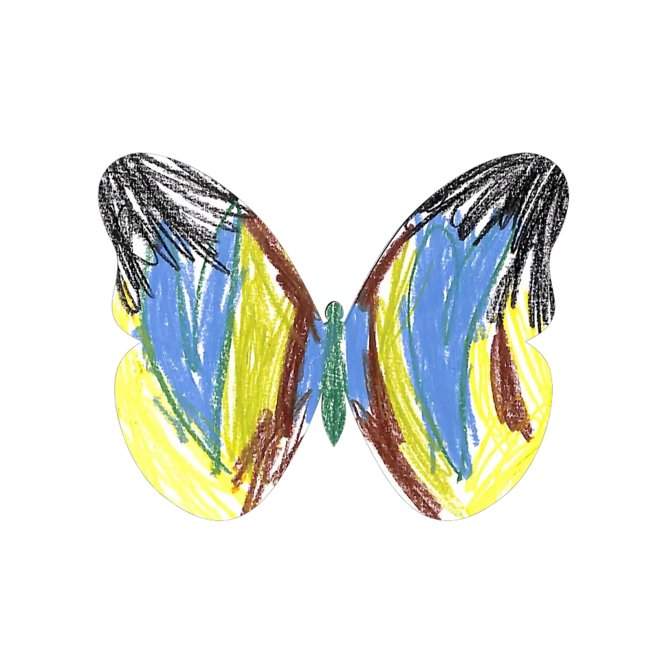 Original Butterfly Image