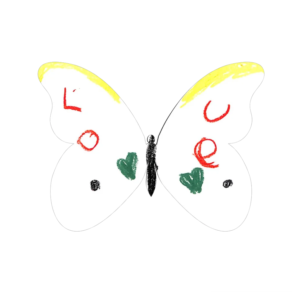 Original Butterfly Image