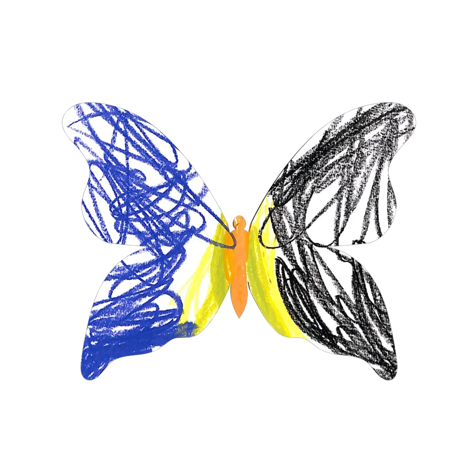 Original Butterfly Image