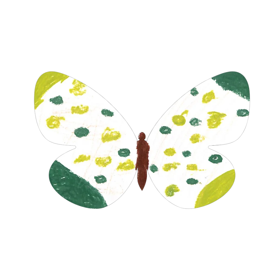 Original Butterfly Image