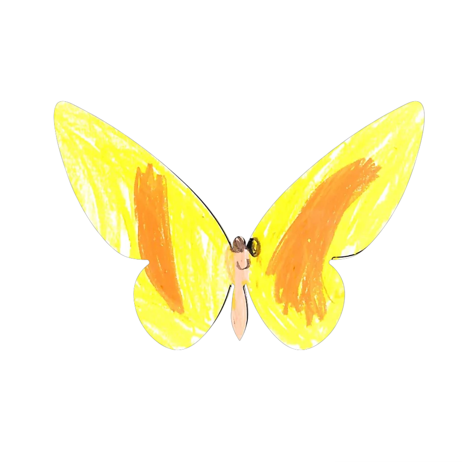 Original Butterfly Image