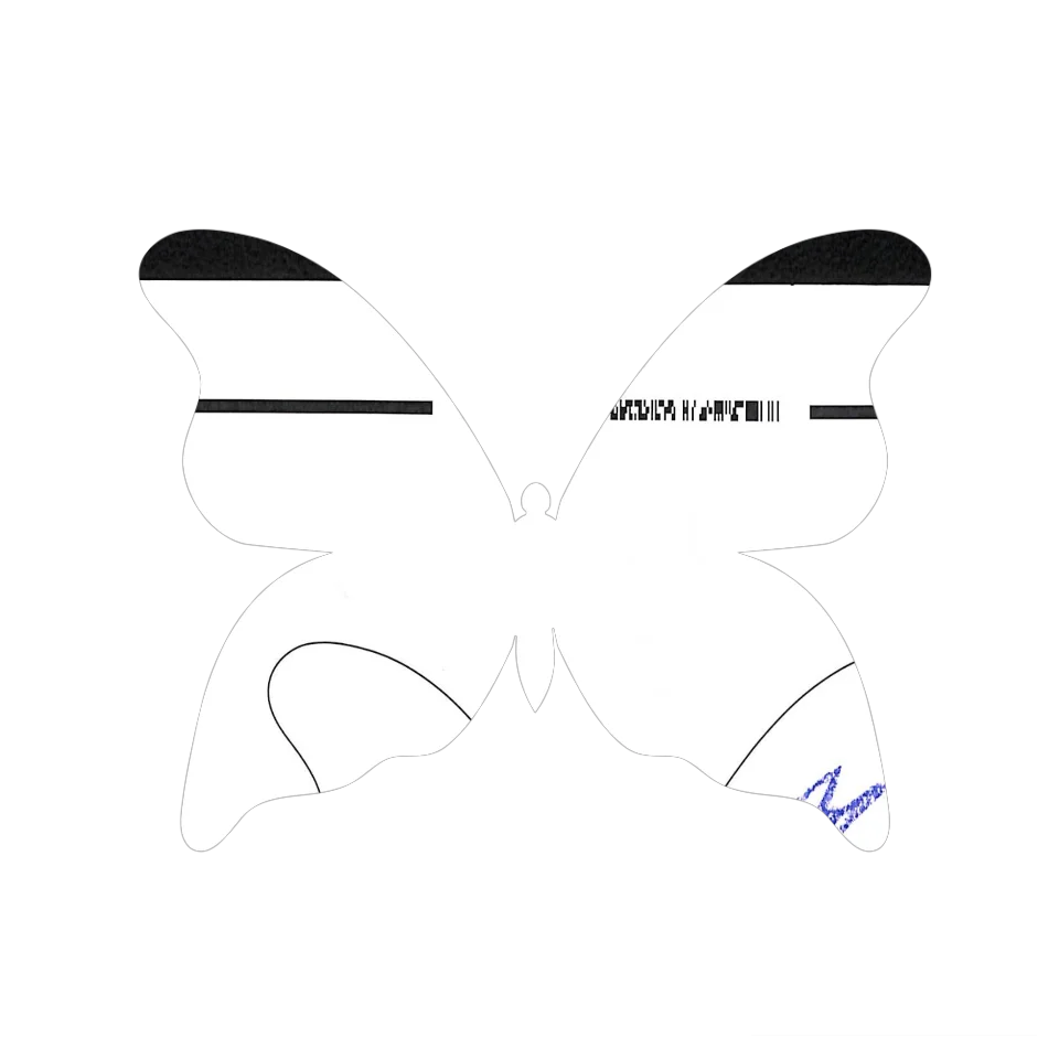Original Butterfly Image