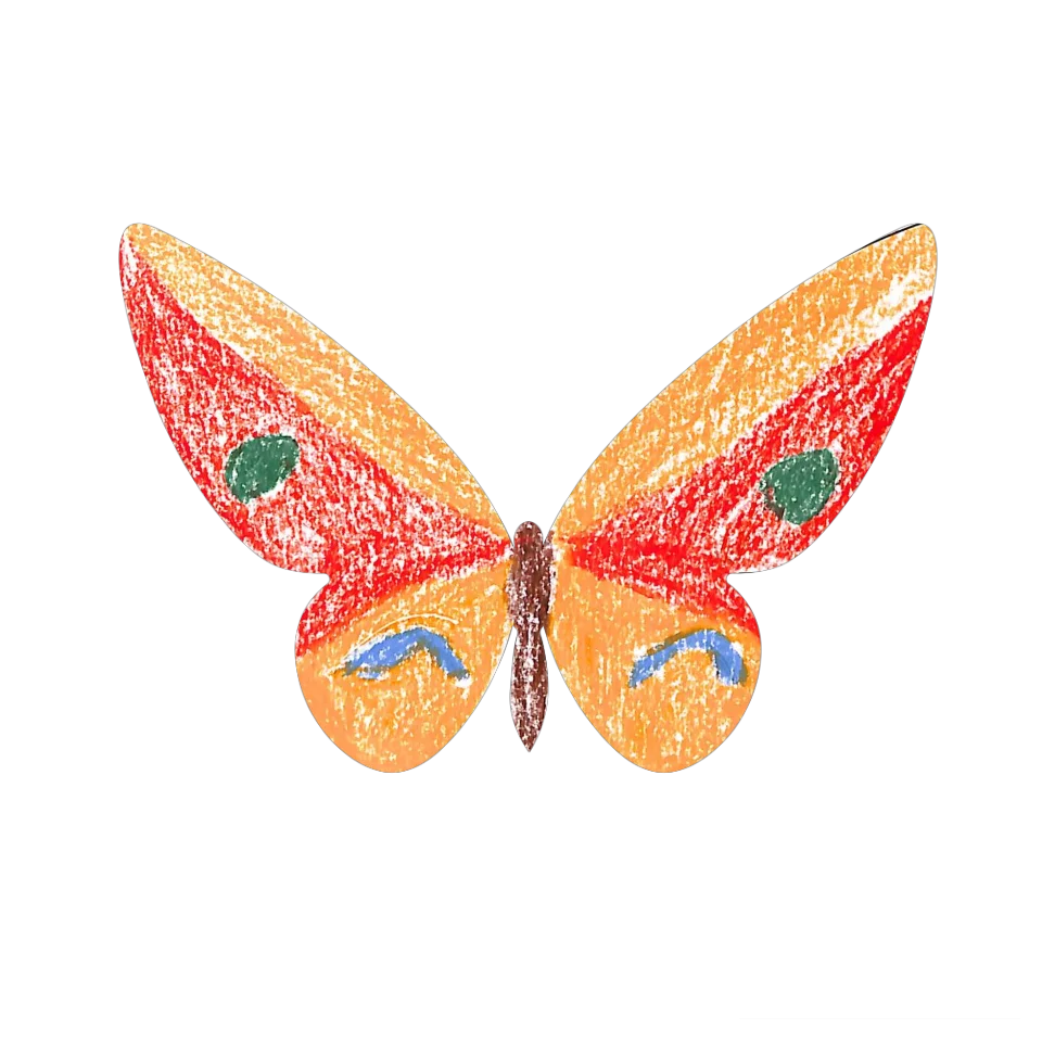 Original Butterfly Image