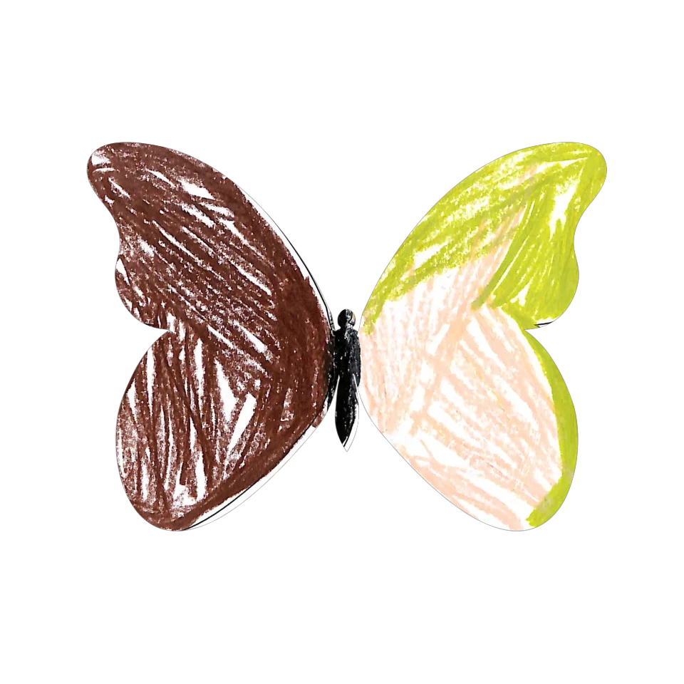 Original Butterfly Image