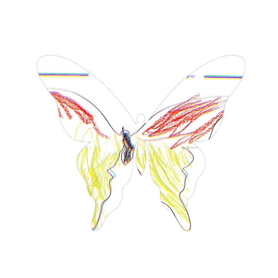Original Butterfly Image