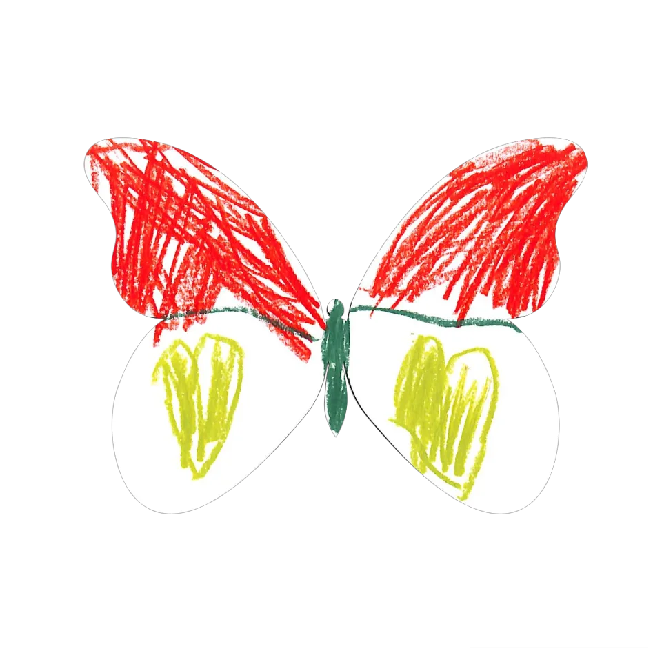 Original Butterfly Image