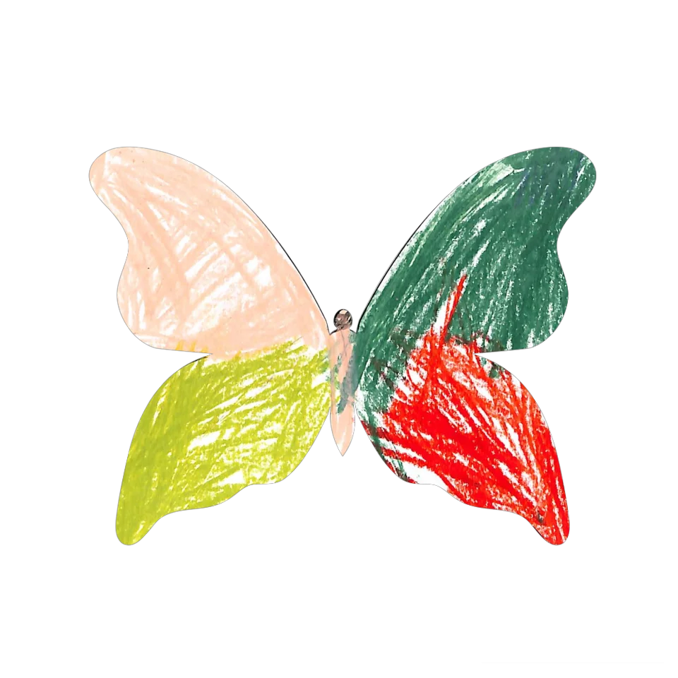 Original Butterfly Image