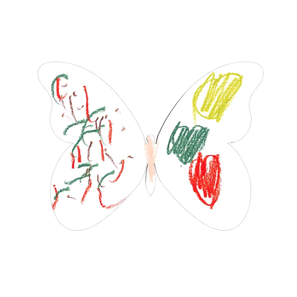 Original Butterfly Image
