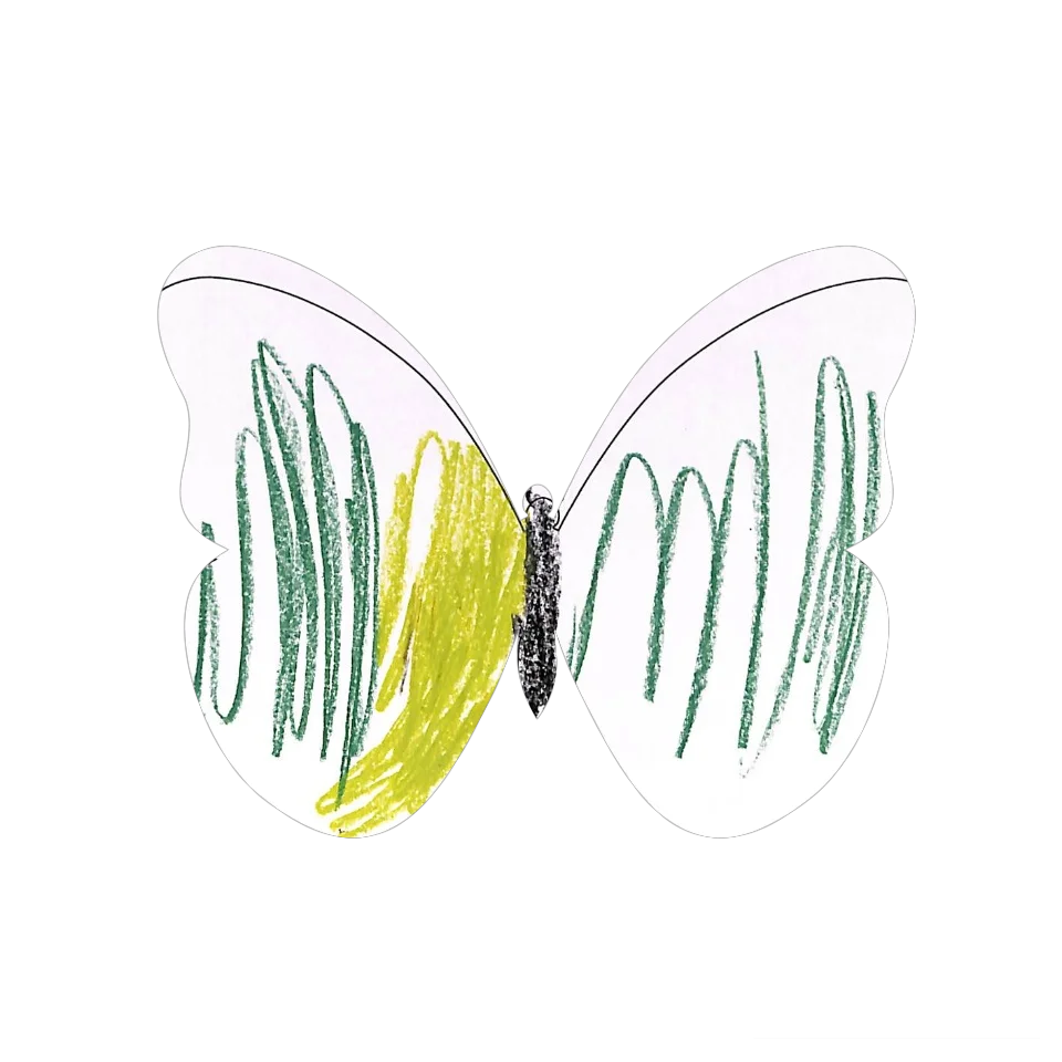 Original Butterfly Image